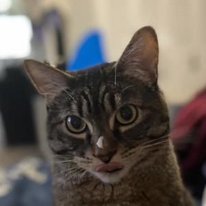 Meet your Posher, Krystal